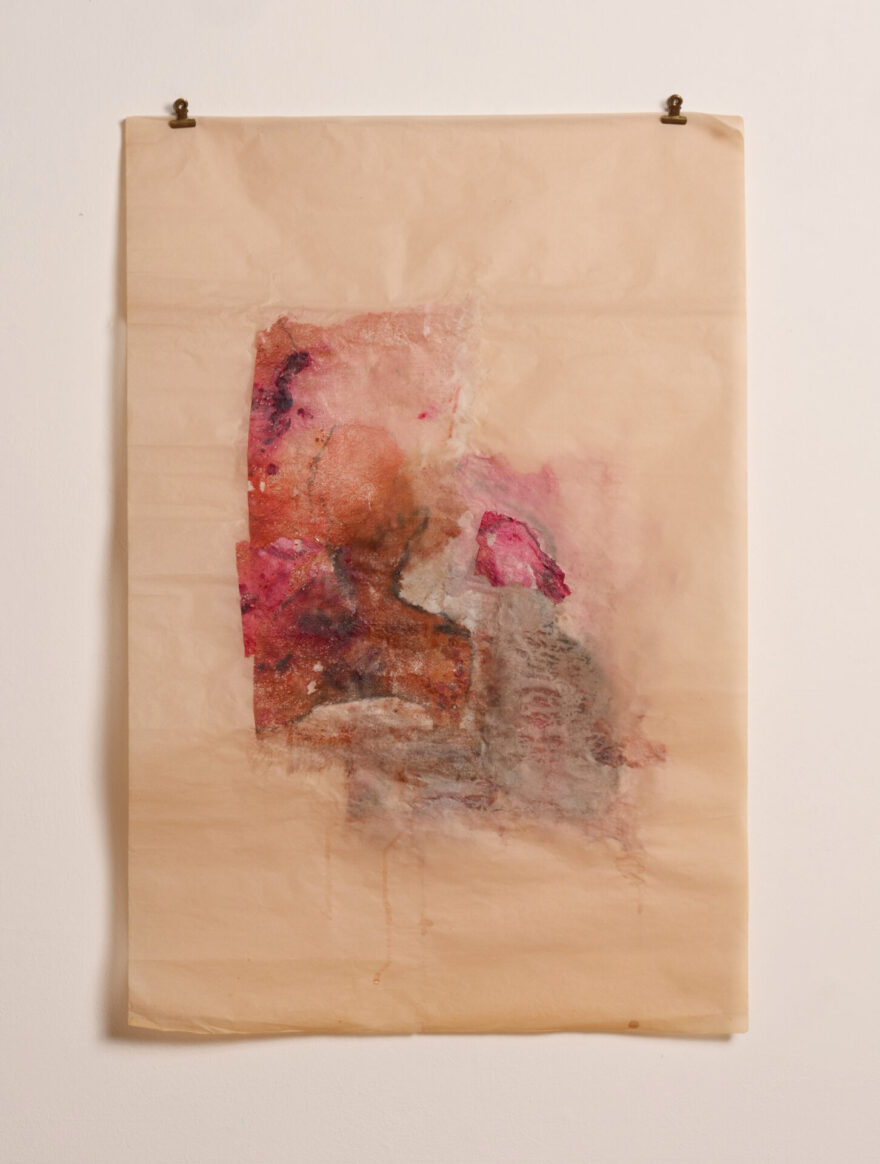 Artwork by Lauren Royall.