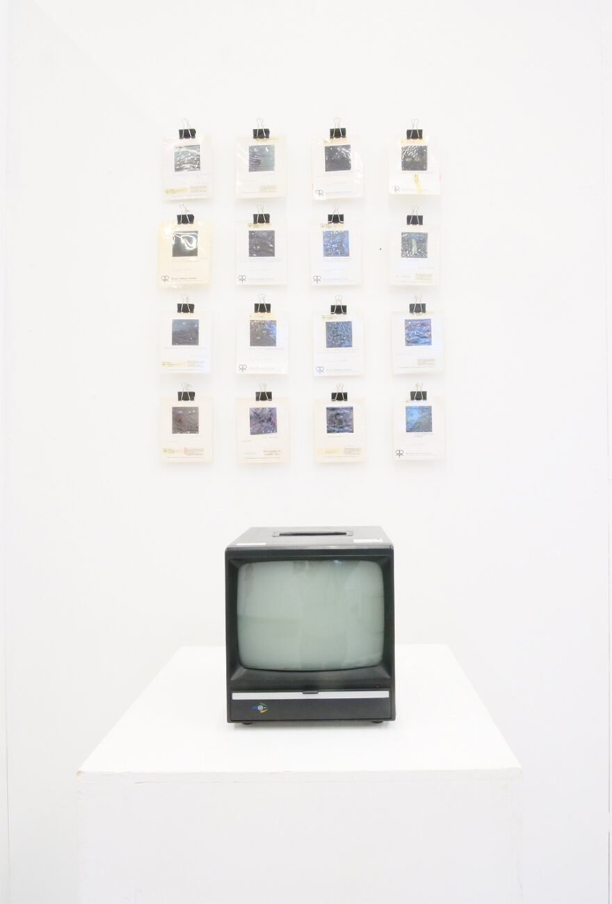 Artworks by Millie Speight